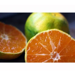 Rangpur-Limette 'Lima Rossa' 10 Rangpur-Limette 'Lima Rossa' -Angebote Biohort Store 7622616 WE MO 001 RangpurLimettePixabay