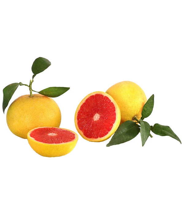 Rosafarbene Grapefruit 4 Rosafarbene Grapefruit – Bild 2