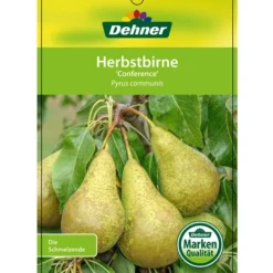Herbstbirne 'Conference' -Angebote Biohort Store 7625908 HerbstbirneConference Etikett 1