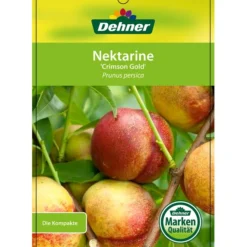 Nektarine 'Crimson Gold' -Angebote Biohort Store 7626005 NektarineCrimsonGold Etikett 1