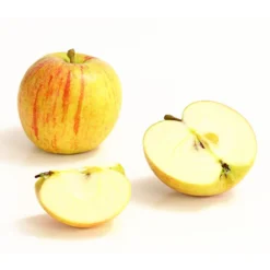 Winterapfel 'Cox Orange' 7 Winterapfel 'Cox Orange' -Angebote Biohort Store 7626518 WE DE 006 ApfelCoxOrangeDehnerExpressHerzig