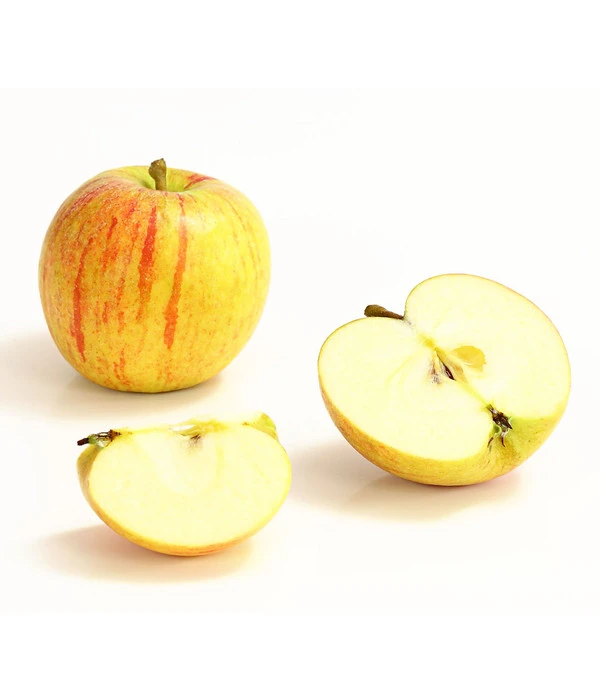 Winterapfel 'Cox Orange' 4 Winterapfel 'Cox Orange' – Bild 2