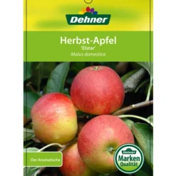 Herbstapfel 'Elstar' -Angebote Biohort Store 7639164 HerbstapfelElstar Etikett 1