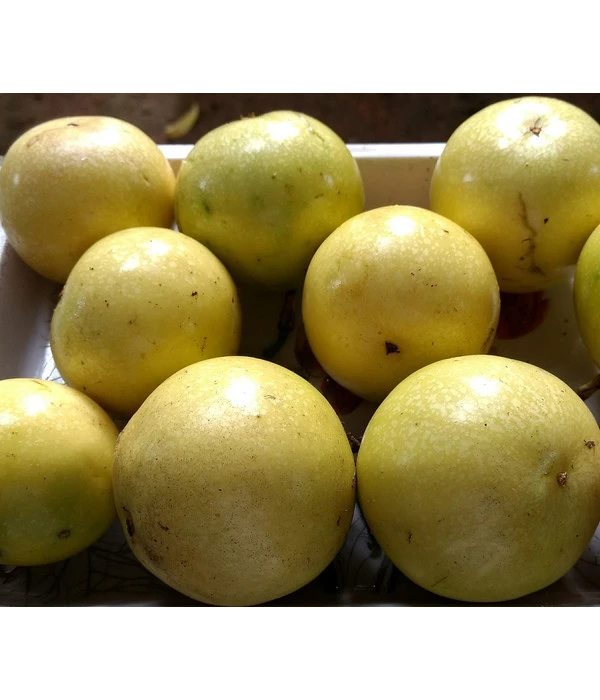 Süße Granadilla 3 Süße Granadilla