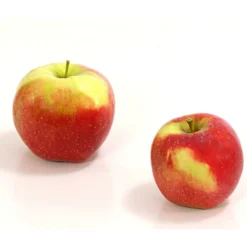 Winterapfel 'Florina'