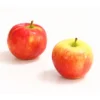 Herbstapfel 'Gerlinde' 2 Herbstapfel 'Gerlinde' -Angebote Biohort Store 7648413 WE DE 003 ApfelGerlindeDehnerExpressHerzig