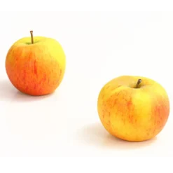 Winterapfel 'Goldparmäne'