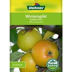 Winterapfel 'Goldparmäne' -Angebote Biohort Store 7654999 WinterapfelGoldparmaere Etikett 1