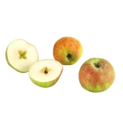 Herbstapfel 'Gravensteiner'