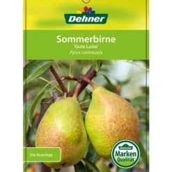 Sommerbirne 'Gute Luise' -Angebote Biohort Store 7658578 SommerbirneGuteLuise Etikett 1