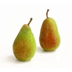 Sommerbirne 'Gute Luise' -Angebote Biohort Store 7658578 WE DE 005 BirneGuteLuiseDehnerExpressHerzig