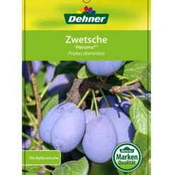 Zwetschge 'Haroma' -Angebote Biohort Store 7662703 ZwetscheHaroma Etikett 1