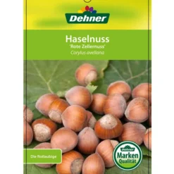 Dehner Haselnuss 'Rote Zellernuss' -Angebote Biohort Store 7663073 HaselnussRoteZellernuss Etikett 1