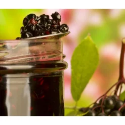 Holunder 'Black Lace' -Angebote Biohort Store 7670896 WE MO 003 Holunder