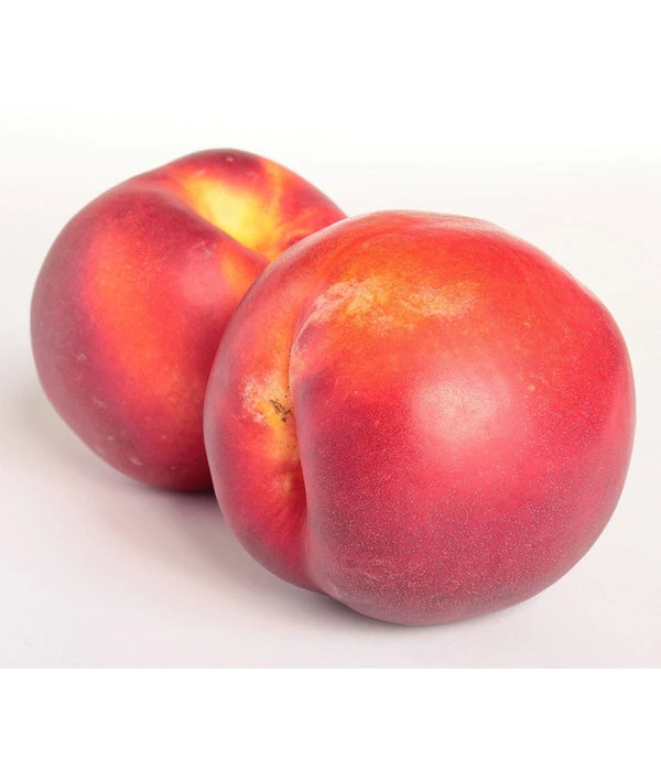 Dehner Nektarine 'Independence' 3 Dehner Nektarine 'Independence'