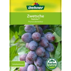 Zwetschge 'Katinka' -Angebote Biohort Store 7693252 ZwetscheKatinka Etikett 1