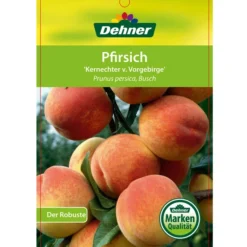 Dehner Pfirsich 'Kernechter Vom Vorgebirge' -Angebote Biohort Store 7695505 PfirsichKernechterVomVorgebirge Etikett 1