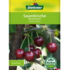 Sauerkirsche 'Morellenfeuer' -Angebote Biohort Store 7714728 SauerkirscheMorellenfeuer Etikett 1