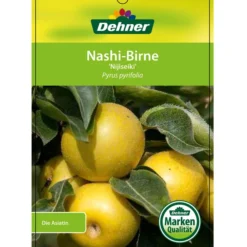 Nashi-Birne 'Nijiseiki' -Angebote Biohort Store 7719826 Nashi BirneNijiseiki Etikett 1