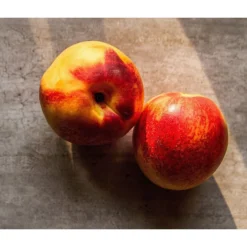 Zwergnektarine 'Nectarella' -Angebote Biohort Store 7720204 WE DE 002 Zwergnektarine