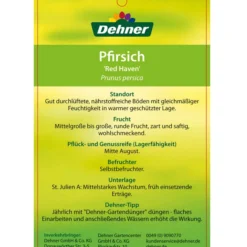 Dehner Pfirsich 'Red Haven' -Angebote Biohort Store 7728827 PfirsichRedHeaven Etikett 2