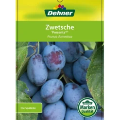 Zwetschge 'Presenta' -Angebote Biohort Store 7729460 ZwetschePresenta Etikett 1