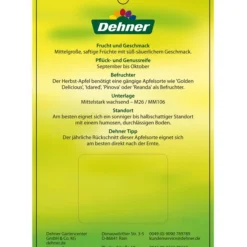 Herbstapfel 'Rebella' 11 Herbstapfel 'Rebella' -Angebote Biohort Store 7737075 HerbstapfelRebella Etikett 2