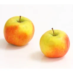 Säulenapfel 'Rondo' -Angebote Biohort Store 7744873 WE DE 001 ApfelRondoDehnerExpressHerzig