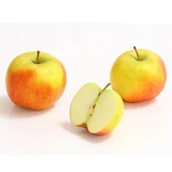 Säulenapfel 'Rondo' -Angebote Biohort Store 7744873 WE DE 002 ApfelRondoDehnerExpressHerzig