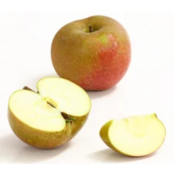 Winterapfel 'Roter Boskoop' 11 Winterapfel 'Roter Boskoop' -Angebote Biohort Store 7745409 WE DE 002 ApfelBoskoopDehnerExpressHerzig