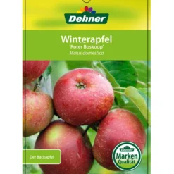 Winterapfel 'Roter Boskoop' 14 Winterapfel 'Roter Boskoop' -Angebote Biohort Store 7745409 WinterapfelRoterBoskoop Etikett 1