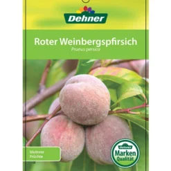 Dehner Pfirsich 'Roter Weinbergpfirsich' -Angebote Biohort Store 7745607 RoterWeinbergpfirsich Etikett 1