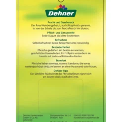 Dehner Pfirsich 'Roter Weinbergpfirsich' -Angebote Biohort Store 7745607 RoterWeinbergpfirsich Etikett 2