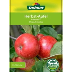 Herbstapfel 'Rubinola' -Angebote Biohort Store 7747165 HerbstapfelRubinola Etikett 1