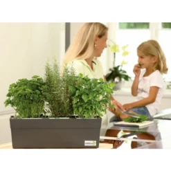 GREENBAR® Ersatzvlies, 3er-Pack 19 GREENBAR® Ersatzvlies, 3er-Pack -Angebote Biohort Store 7750482 PR MO 003 GreenbarAnleitungIndoorSeidl