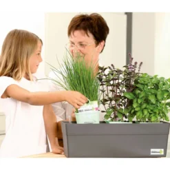 GREENBAR® Naschtomate -Angebote Biohort Store 7750482 WE MO 009 GreenbarAnleitungIndoor