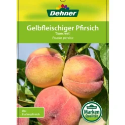 Pfirsich 'Suncrest' -Angebote Biohort Store 7760754 GelbfleischigerPfirsichSuncrest Etikett 1
