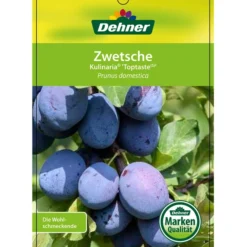 Zwetschge 'Kulinaria-Toptaste' -Angebote Biohort Store 7763881 ZwetscheKulinariaToptaste Etikett 1
