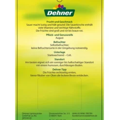 Sauerkirsche 'Ungarische Traubige', Busch -Angebote Biohort Store 7769813 SauerkirscheUngarischeTraubige Etikett 2