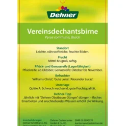 Herbstbirne 'Vereinsdechant' -Angebote Biohort Store 7772064 BirneVereinsdechant Etikett 2
