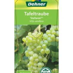 Tafeltraube 'Stefanie' -Angebote Biohort Store 7773278 TafeltraubeStefanie Etikett 1