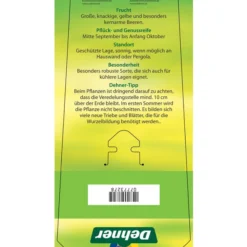 Tafeltraube 'Stefanie' -Angebote Biohort Store 7773278 TafeltraubeStefanie Etikett 2