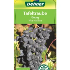 Tafeltraube 'Georg' -Angebote Biohort Store 7773575 TafeltraubeGeorg Etikett 1