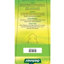 Tafeltraube 'Erdbeertraube' -Angebote Biohort Store 7773708 TafeltraubeErdbeertraube Etkett 2