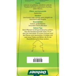 Tafeltraube 'Katharina' -Angebote Biohort Store 7773716 TafeltraubeKatharina Etikett 2