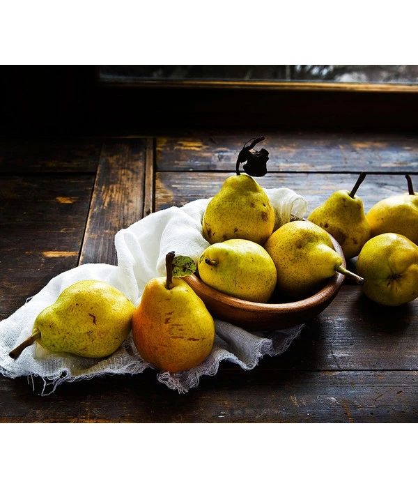 Sommerbirne 'Williams Christ' 5 Sommerbirne 'Williams Christ' – Bild 3