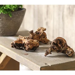 Mopani-Wurzel, 3er-Set -Angebote Biohort Store 7977507 WE MO 001 MopanieWurzelGroesseS3erSetDehnerExpressHerzig