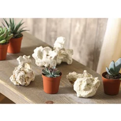 Sansibar Rock, 7-10 Cm, 3er-Set -Angebote Biohort Store 7977515 WE MO 001 SansibarRockGroesseS3erSetDehnerExpressHerzig