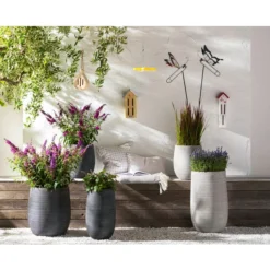 Dehner Gourmet Garten Strauchbasilikum 'Magic Blue' -Angebote Biohort Store 8092108 PR MO 005 LavendelLavandulaAngustifoliaT13Schmetterlingsgarten Rosen usw GC14 2020