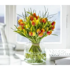 Heidelbeere-Bund, Ca. 40-50 Cm -Angebote Biohort Store 8128324 PR MO 001 Tulpen10erBundGelb ZweifarbigMix